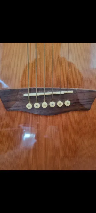 Guitarra Acústica Washburn