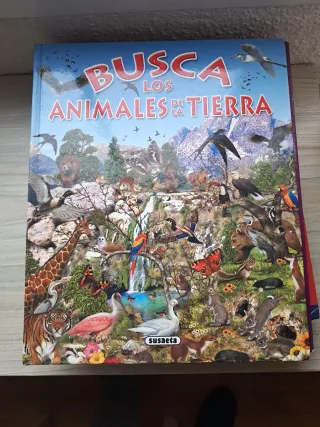 Libros variados para Secundaria.