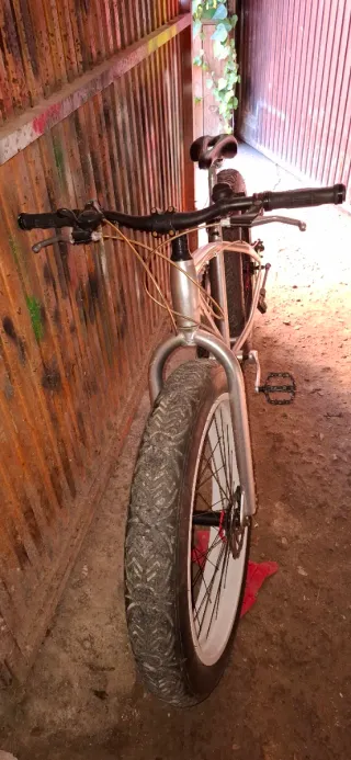Bicicleta Mollerussa