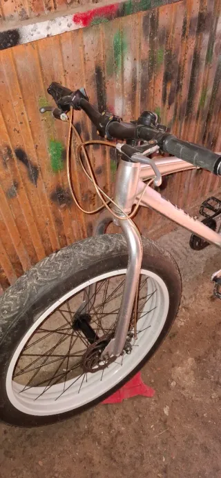 Bicicleta Mollerussa