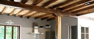 Tratamientos carcomas Valencia