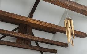 Tratamientos carcomas Valencia