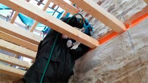 Tratamientos carcomas Valencia