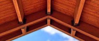 Tratamientos carcomas Valencia