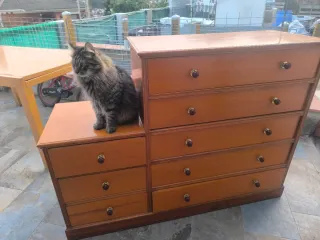 Mesa de madera y cajonera