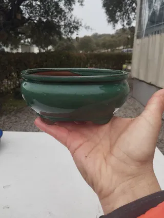 Tiestos de bonsai de cerámica y terracota