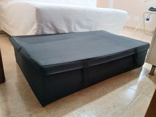 Sofá Cama IKEA + Caja Almacenaje