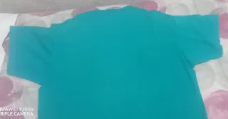 T-shirt Dolfhins Vintage Originale Americana