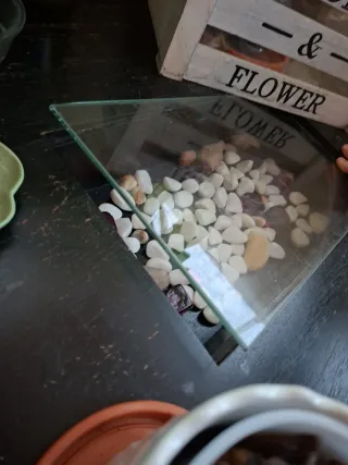 Mesa Baja Terraza Teca Maciza 70x70x55