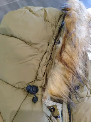 Cazadora Superdry niña verde militar