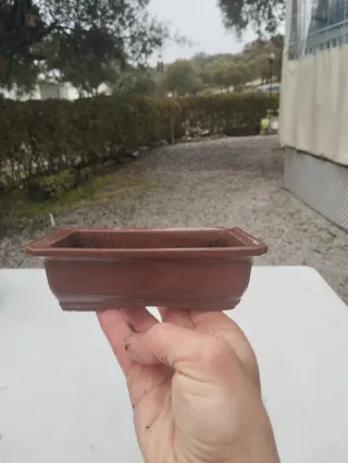 Tiestos para bonsai marrones