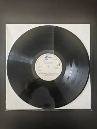 Vinilos Ozzy Osbourne Heavy Metal