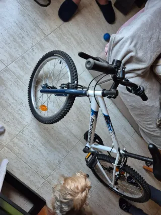 Bicicleta infantil Rockrider ST 120 20 pulgadas