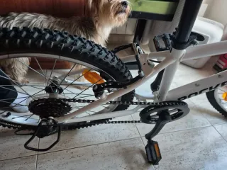 Bicicleta infantil Rockrider ST 120 20 pulgadas