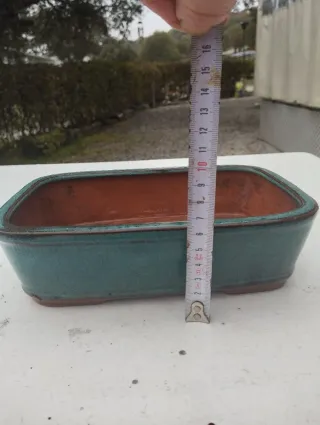 Tiesto Bonsái Cerámica Teal y Terracota