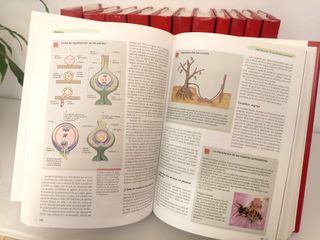 Enciclopedia Nivel 10 Plus (12 tomos y 3 DVDs)