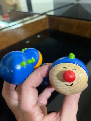 Gusano Haba de Madera