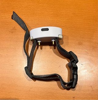 Collar GLEADING G880 Perros Nailon