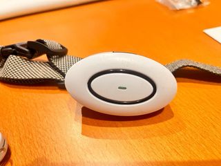 Collar GLEADING G880 Perros Nailon