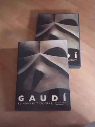 Libro Gaudí