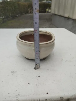 Tiesto bonsai cerámica beige y marrón