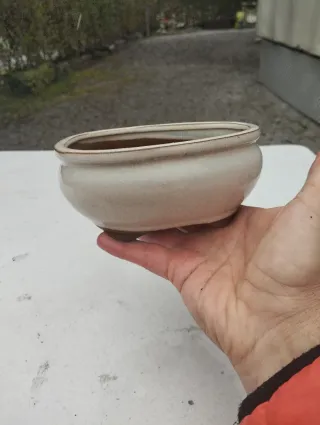 Tiesto bonsai cerámica beige y marrón