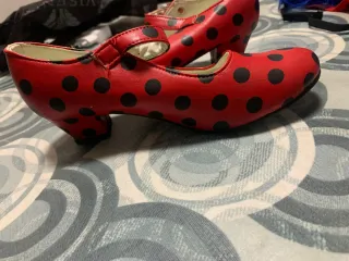 Costume Miraculous Ladybug