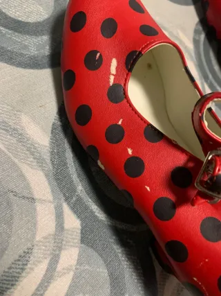 Costume Miraculous Ladybug