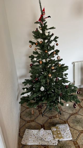 Árbol de Navidad SIN adornos