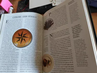 El que hem menjat. Josep Pla