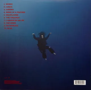 Billie Eilish -Hit Me Hard and Soft (Vinilo Verde)