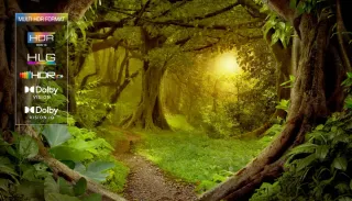 TCL 65C855 Google TV Oferta QD-MiniLed Premium