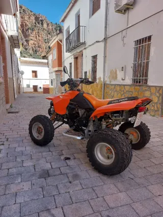 Quad Polaris Predator 500 R