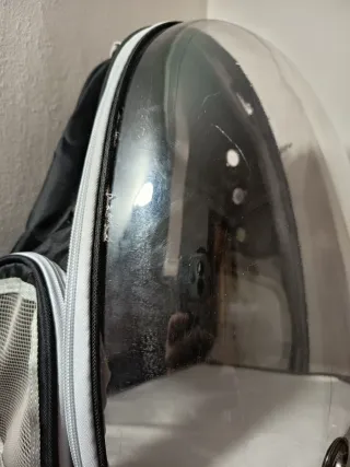 Mochila Transportín Perros y Gatos Transparente