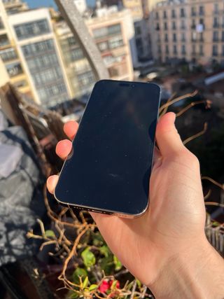 iPhone 13 Pro Max 100%