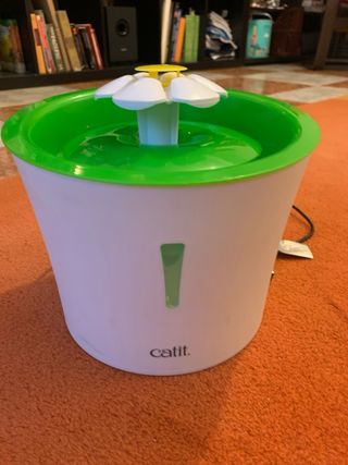 Bebedero para mascotas flor verde