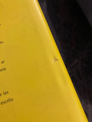 El hombre en el castillo