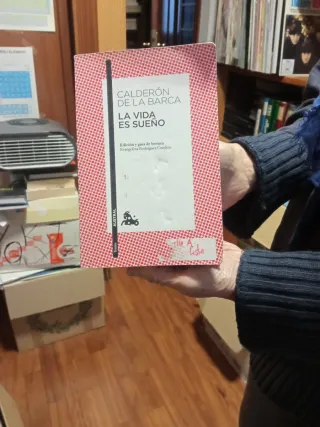 La vida es sueño: Edición y guía de lectura de ...