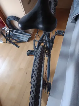 Bicicleta de montaña