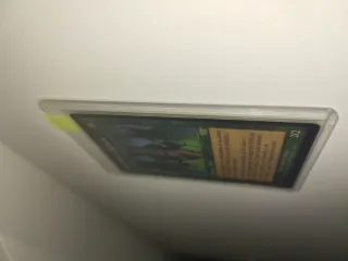 Carta Magic Convocadora de la Garra