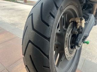 Triumph Tiger 800 ABS Negra/Amarilla