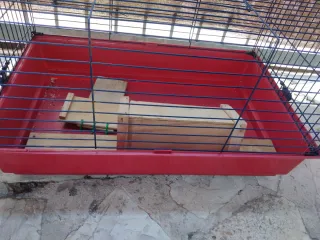 Jaula para conejo, cobaya o hurón