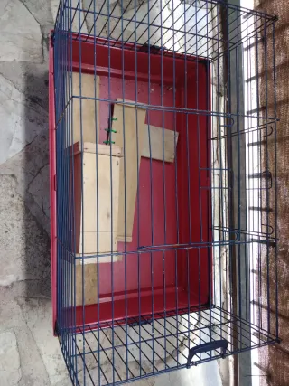 Jaula para conejo, cobaya o hurón