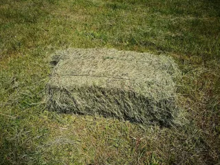 Paja de trigo y cebada