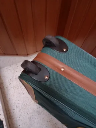 Juego de maletas y bolsos verde y marrón