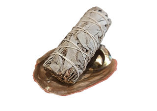 Concha de abalón roscado