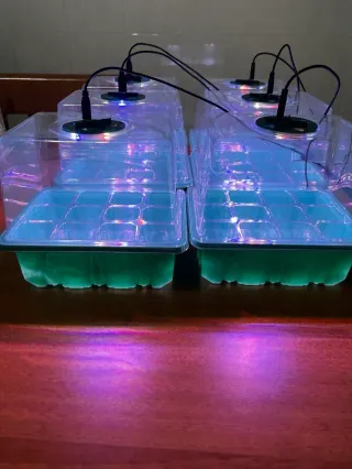 Mini Serra LED Germinazione (6) Semenzaio