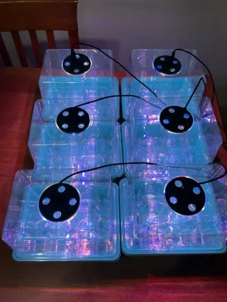 Mini Serra LED Germinazione (6) Semenzaio