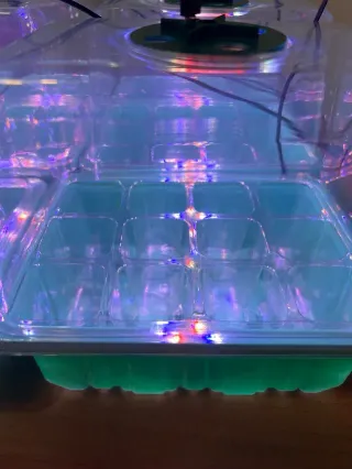 Mini Serra LED Germinazione (6) Semenzaio