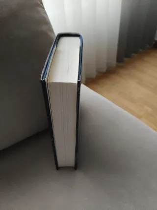 Esperando al diluvio